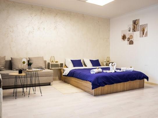 Center Cozy Apartment سوبوتيتْسا المظهر الخارجي الصورة