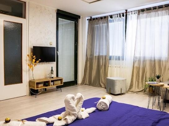 Center Cozy Apartment سوبوتيتْسا المظهر الخارجي الصورة