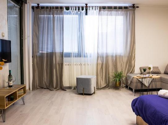Center Cozy Apartment سوبوتيتْسا المظهر الخارجي الصورة
