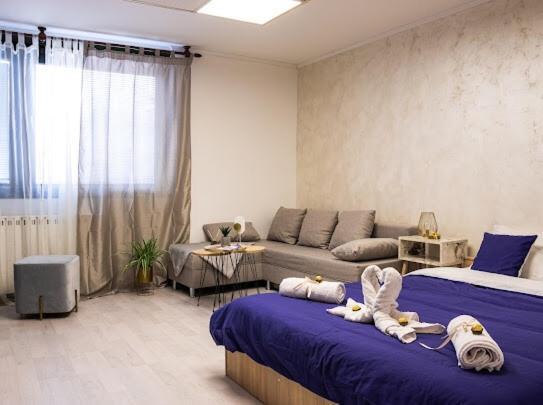 Center Cozy Apartment سوبوتيتْسا المظهر الخارجي الصورة
