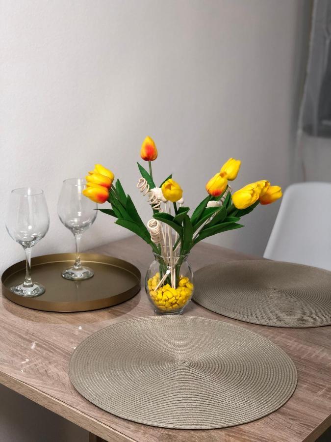 Center Cozy Apartment سوبوتيتْسا المظهر الخارجي الصورة